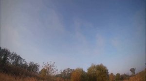 Как падали фазаны с дроби номер 7. Открытие на фазана 2019.