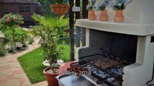 Скорость роста пальмы трахикарпус с 2018 по 2021 Tempo wzrostu palmy Trachikarpus