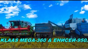 Уборочная 2021. Начало уборки ячменя комбайнами КЛААС МЕГА-360  и ЕНИСЕЙ-950.