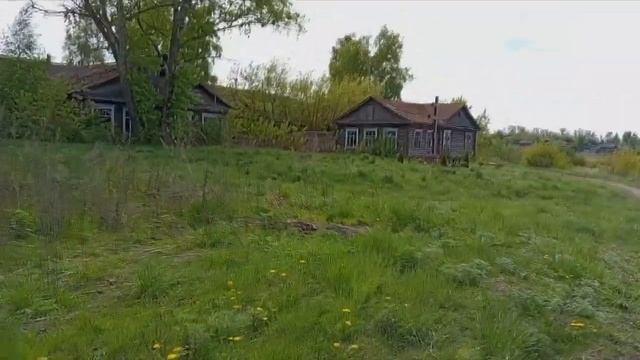 Холодный май. Дерево 72. #генеалогия #родословная
