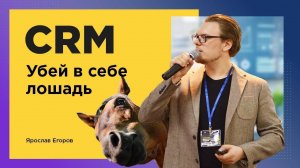 CRM: убей в себе лошадь