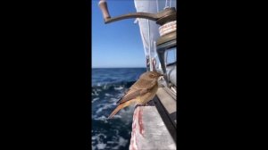 Напиши мне письмо. Напиши на бумаге!