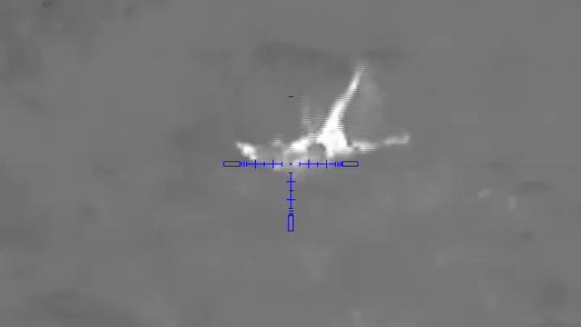 Охота на лис 6