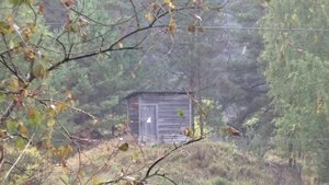 Ян Райбург. Осенние дожди..mp4