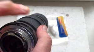 Одуванчик Лушникова Nikon. КП/А-Н с Одуванчиком Лушникова. (Для Дмитрия.)