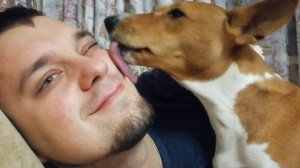 Ласковая басенджи