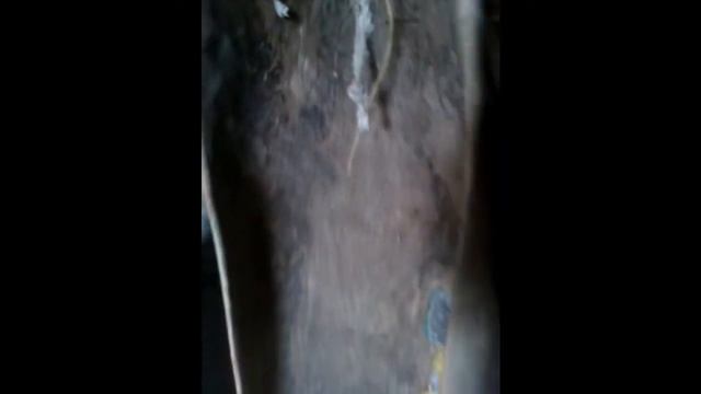 Lodě z Tanzanie смотреть онлайн