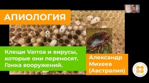 Клещи Varroa и вирусы, которые они переносят. Гонка вооружений.