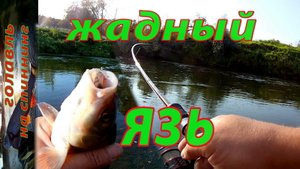 Неудачно получилось... Ловля ГОЛАВЛЯ и ЯЗЯ на малой реке в сентябре.