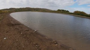 Только гобачи! Осенний окунь горбач на отводной поводок.