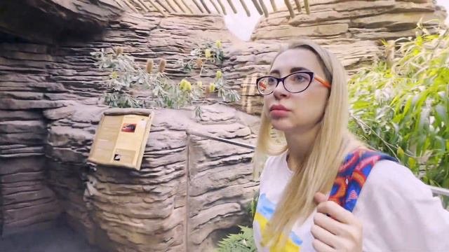 Зоопарк Вильгельма в Штутгарте I Wilhelma