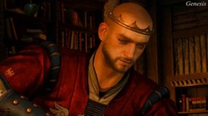 The Witcher 3  Поговорить с Роше