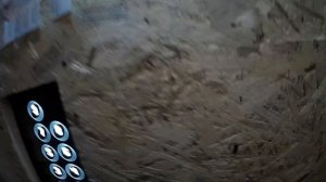 ЛИФТ КИТАЙСКИЙ ПРЯМ В НОВОЙ НОВОСТРОЙКЕ Q=630kg 8 чел. ДОМОФОН СПУТНИК! И 4K