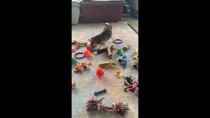 Все для тебя!