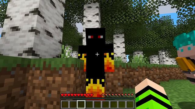 TODO MUNDO ODEIA O CADRES NO MINECRAFT