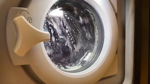 Electrolux Professional W555H - Normal 60° - Main Wash
