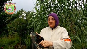 Комары достали. Как защититься от комаров в саду и на огороде? Средства защиты от комаров на природ