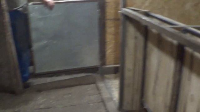 Хоромы для свиней\\Новые загоны для свиней смотреть онлайн