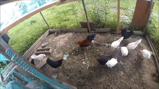 VLOG Мы свидетели ужасной драки!!! 25.07.2017 смотреть онлайн