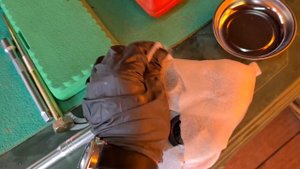 ТО Стелс Гепард (1 часть)