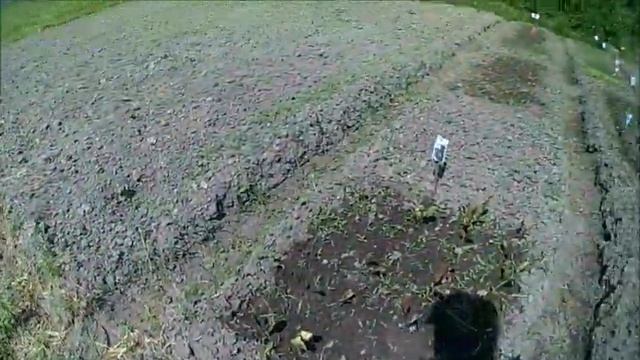 10.06.2019 Дача, лето есть. смотреть онлайн