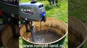 Лодочный мотор Sea Pro T 2 6 S