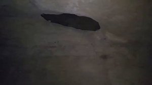 Старинные склепы могильники