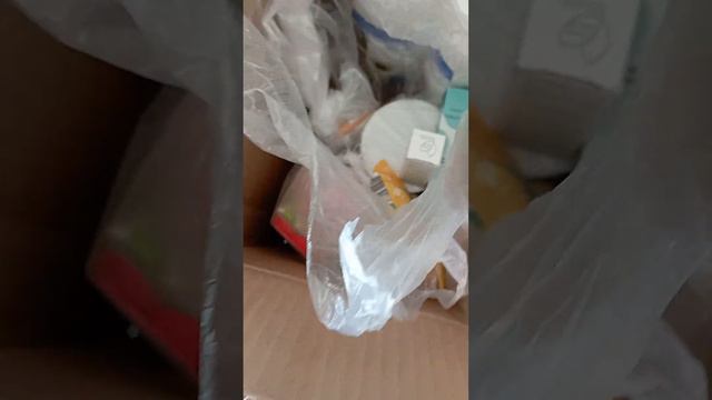 20 октября 2022 г. смотреть онлайн