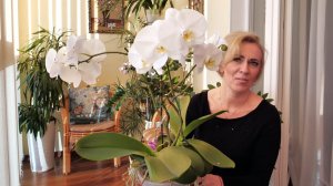 Орхидеи БИГ ЛИПЫ содержание, уход, посадка НОЛЬ СТРЕССА. / ЦАРИЦЫ в общей посадке АХ, УХ, ДААА!