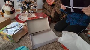 НАКОНЕЦ ТО ДОЖДАЛИСЬ  / СЕЛЬЧАНКА В АМЕРИКЕ