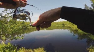 Ультралайт на лесном озере. Ловля окуня и щуки на вертушки.