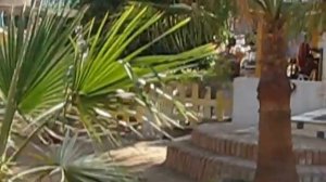Египет 2008 Cataract Layalina Resort 3* Южный Синай Шарм-эль-Шейх