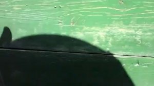 пчелоудалитель,нужен или нет в альпийском улье или улей удав.мфу улья.