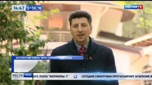 В Сочи началась обработка самшита от бабочки-огневки