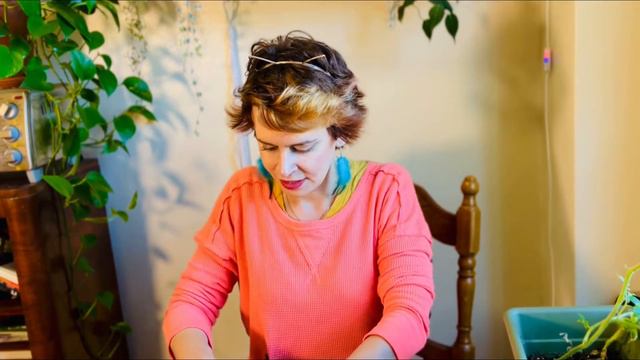 A new anthurium for my collection! Etsy plant haul part 1: LATropicaMart 🪴 It's AWESOME! смотреть онлайн