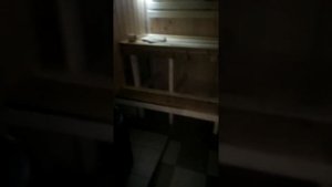 Печь Скоропарка 3