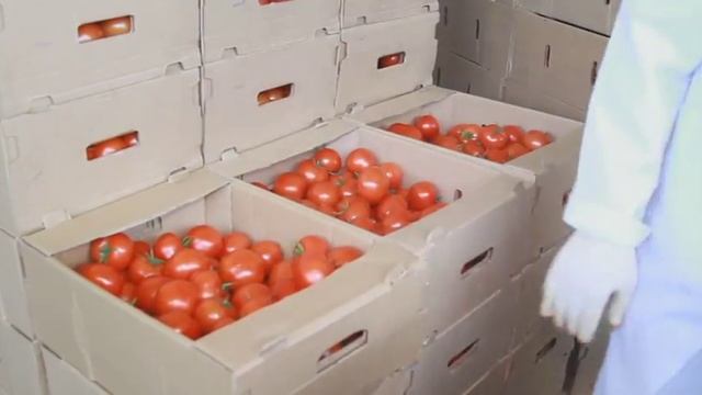 Агросектор. Органическое сельское хозяйство