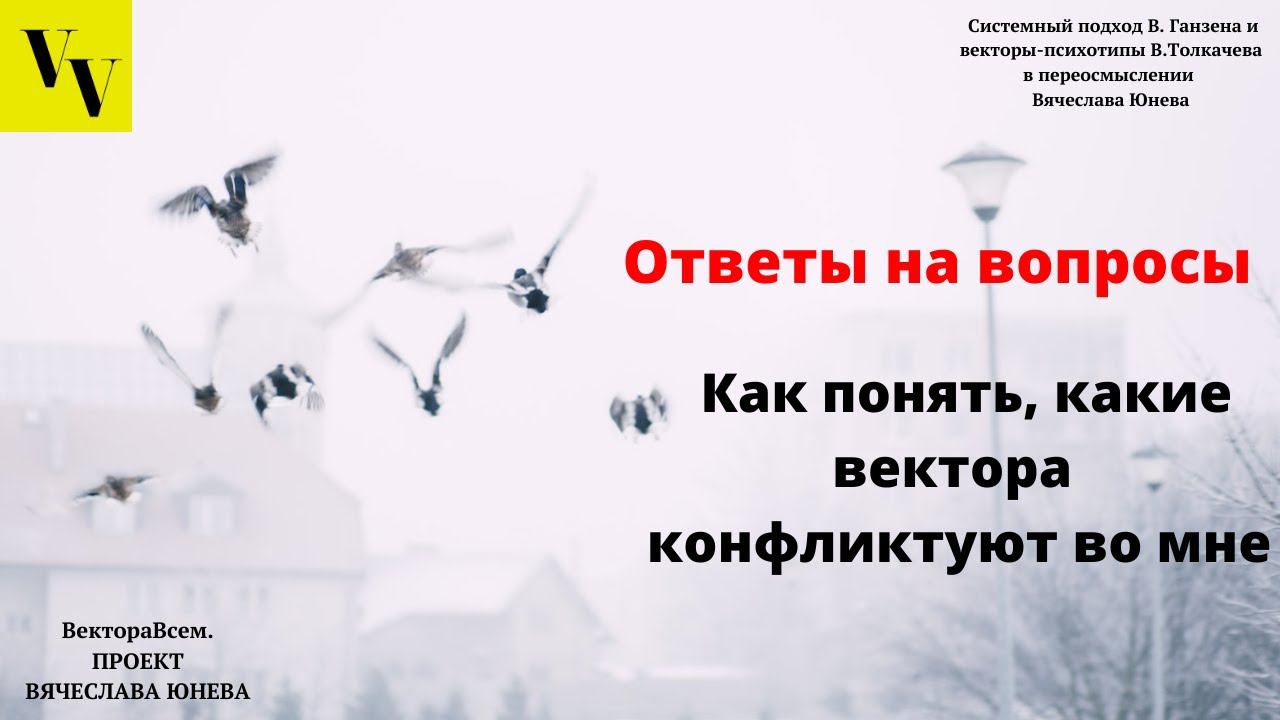 Как понять, какие вектора конфликтуют во мне. ВектораВсем. Проект Вячеслава Юнева