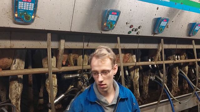 доильные залы из Голландии всех типов, высшего качества: +77017110775 ватцап смотреть онлайн