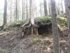 Дом в парке.avi