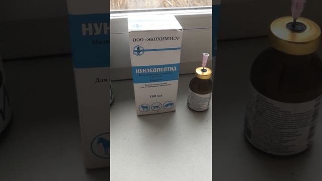 Плохо растёт теленок