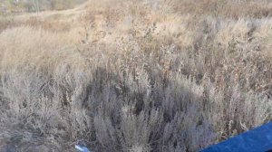 Леший-2 6.35мм первый отстрел. И смех и грех))