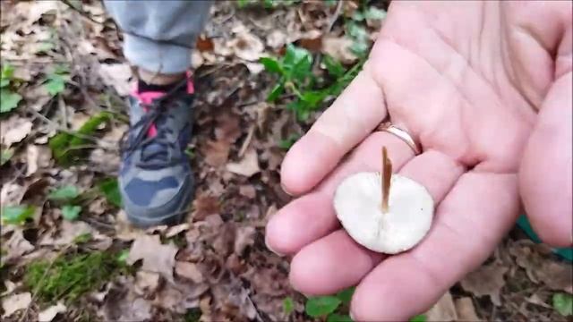 Строчки второго мая. Подмосковье смотреть онлайн