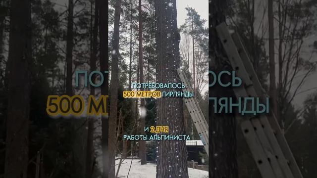 Как украсить гирляндами участок и деревья на нём?
