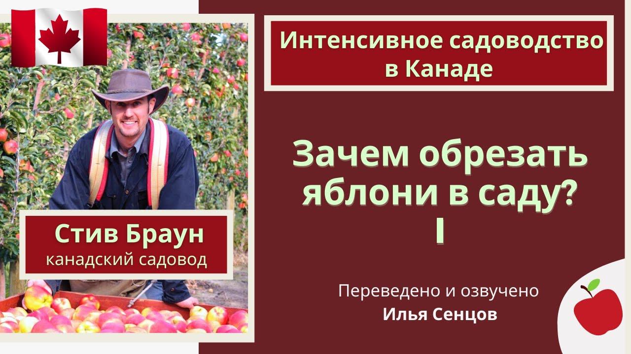 Зачем обрезать яблони в интенсивном саду? (Стив Браун, Канада)