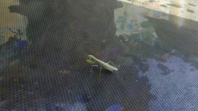 Калейдоскоп.Жизнь в Греции смотреть онлайн