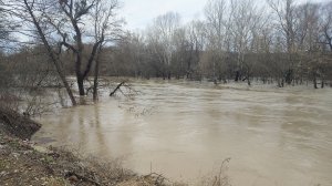 Реки Краснодарского Края, подъем уровня воды после дождей