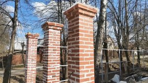 МОГУТ ЛИ ВЫСОЛЫ НА КИРПИЧЕ ИСЧЕЗНУТЬ САМИ?