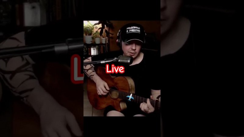 Аквариум - Самый быстрый самолёт #guitar #live #cover #stream #music #russianrock #svoisvoim