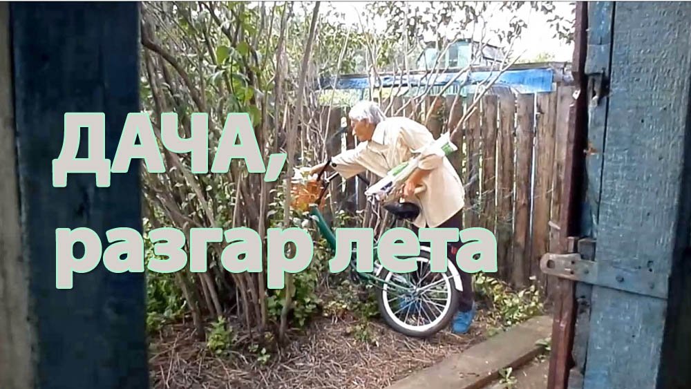 дача разгар лета 2021.mp4